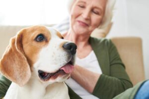 cane donna anziana